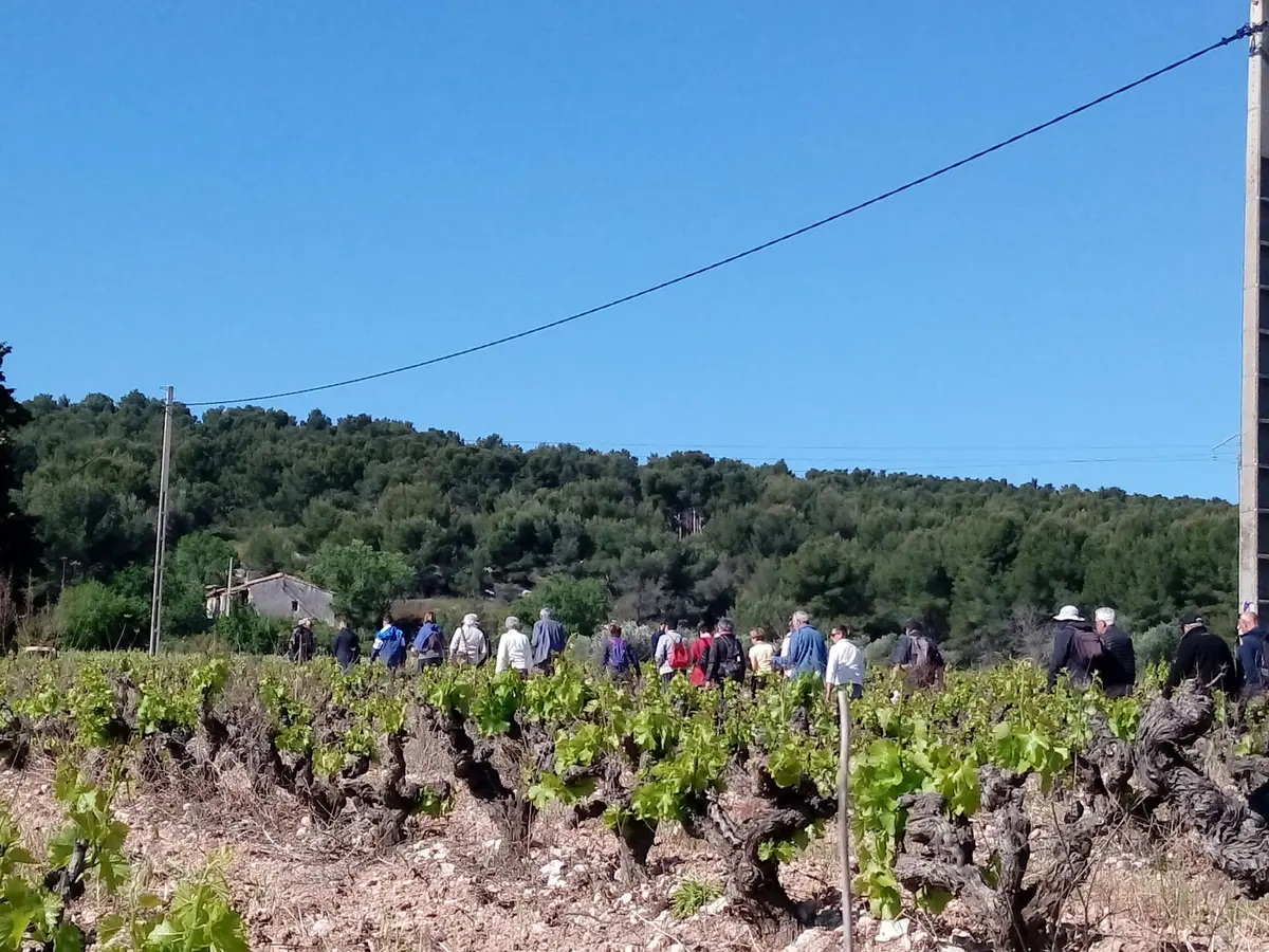 Fête de la vigne et du vin