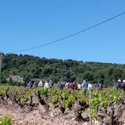 Fête de la vigne et du vin