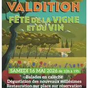 Fête de la Vigne et du Vin
