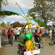 Fête de la Zarbi'cyclette