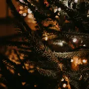 Fête de Noël à Glanes