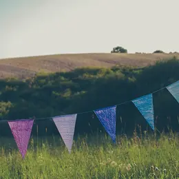 Fête De Pied De Borne