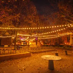 Fête de village