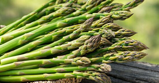 [Coup de ❤️ JDS] F&ecirc;te des asperges &agrave; Hoerdt 2026