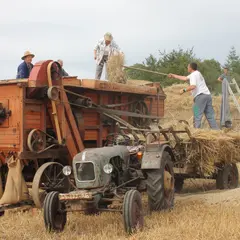Fête des battages
