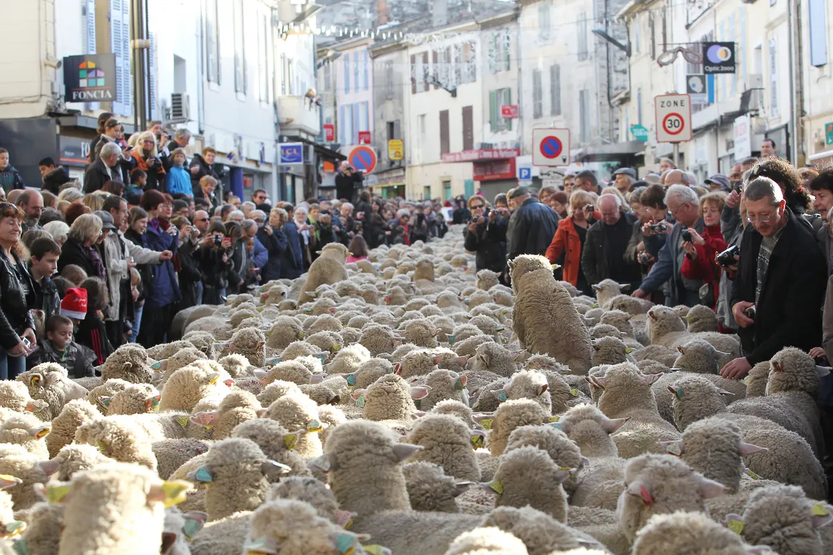 Fête des Bergers et des Traditions