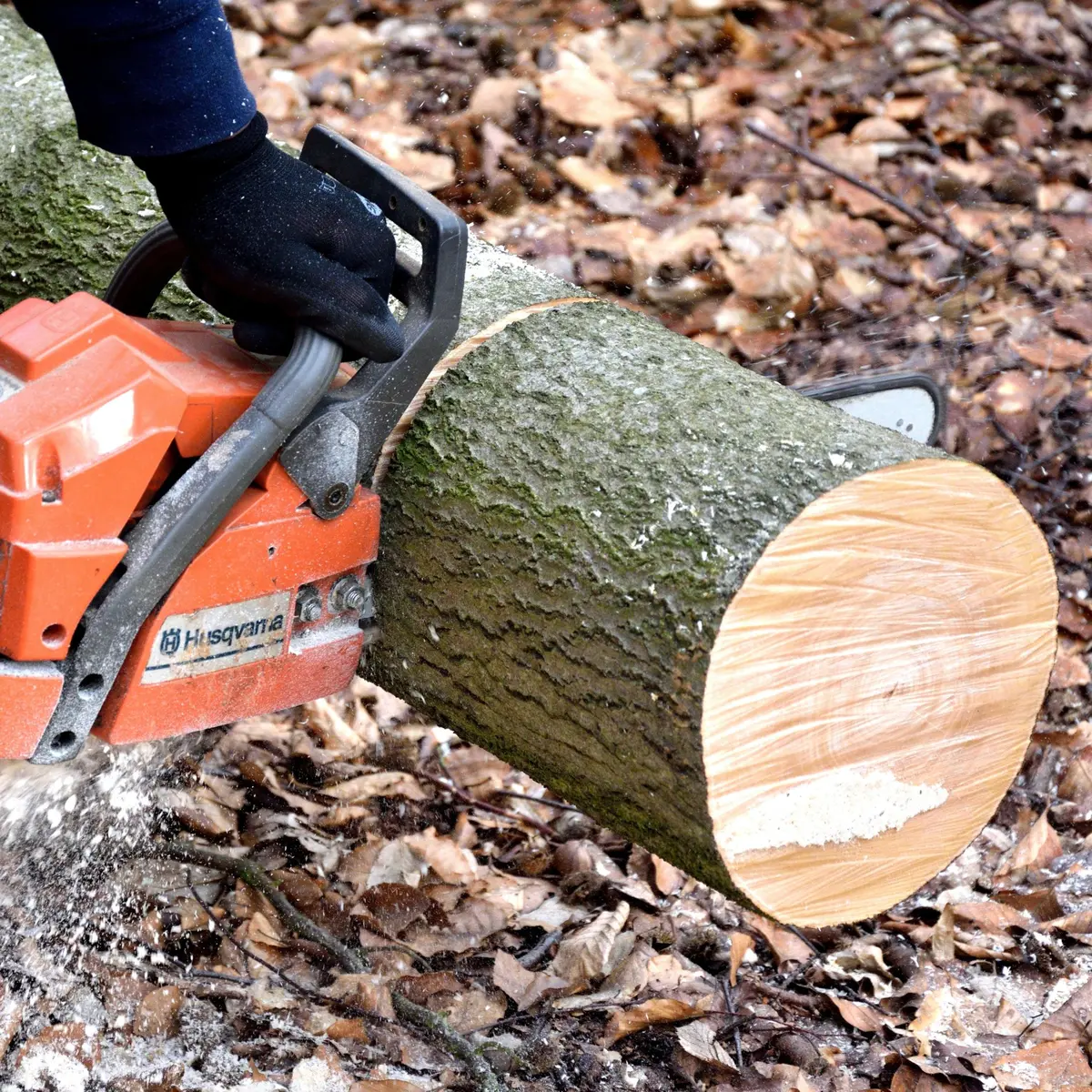 Venez découvrir la Fête des bûcherons à Schirrhein