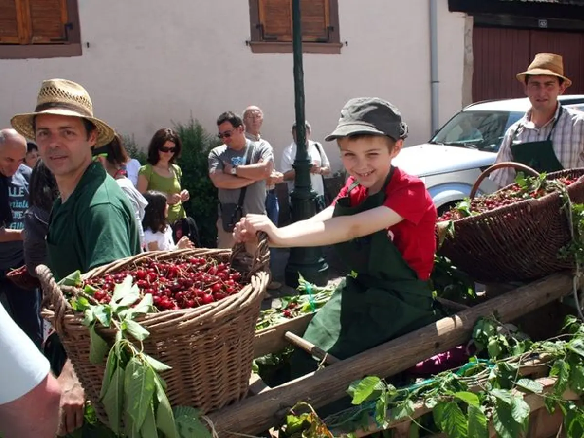 La fête des cerises à Westhoffen