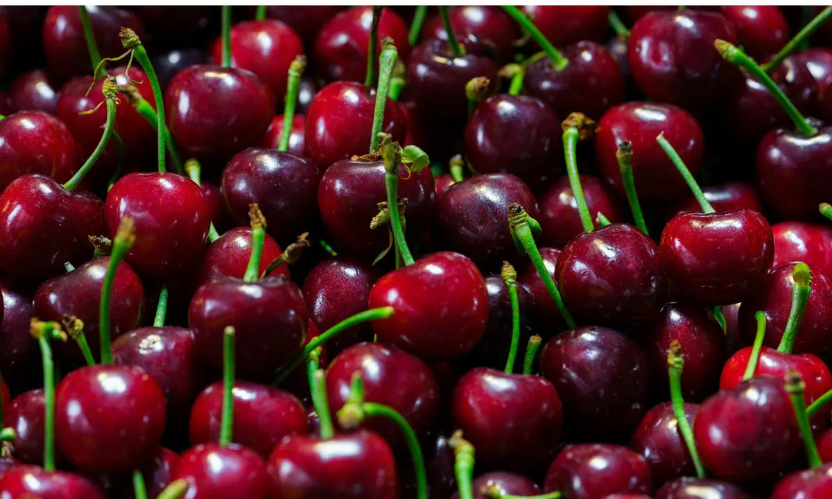 Fête des Cerises à Westhoffen 2026