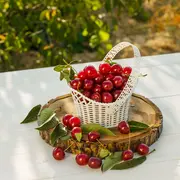 Fête des Cerises à Westhoffen 2026