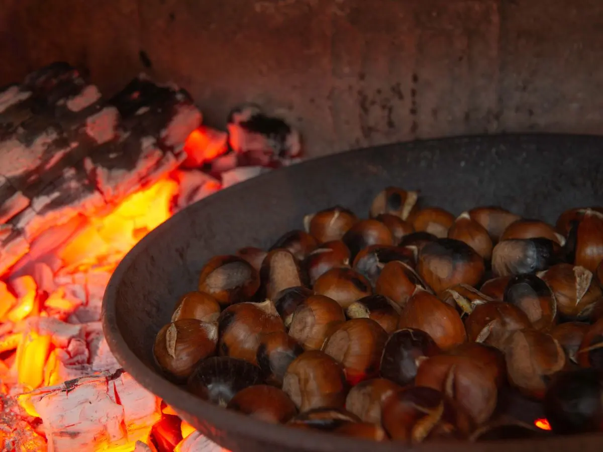 Fête Des Châtaignes, Du Vin Et Des Produits De La Montagnes Noire