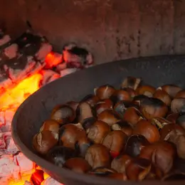 Fête Des Châtaignes, Du Vin Et Des Produits De La Montagnes Noire