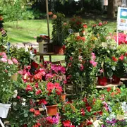 Fête des fleurs et des abeilles