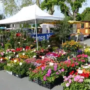 Fête des Fleurs et des plantes - 10ème édition