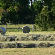 Fête des Foins - 7ème édition