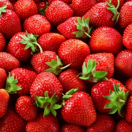 Fête des Fraises à Woippy 2027