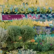 Fête des jardins et de la biodiversité
