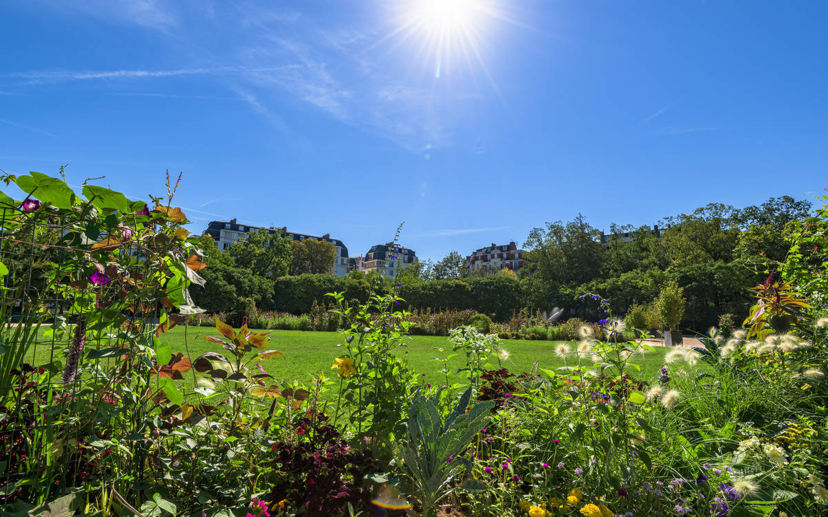 Vue sur la grande pelouse du square depuis une décoration florale