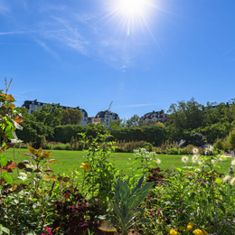 Fête des jardins : le 15e célèbre la nature en ville !