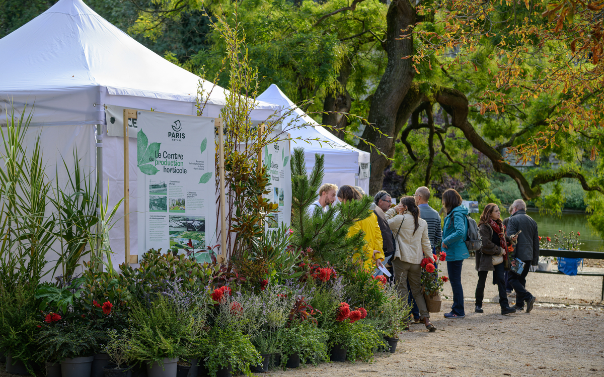 Fête des jardins : le 6e célèbre la nature en ville !