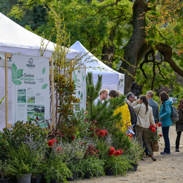 Fête des jardins : le 6e célèbre la nature en ville !