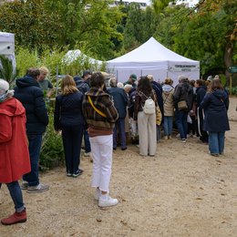 Fête des jardins : le 7e célèbre la nature en ville !