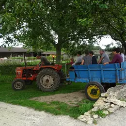 Fête des jeux anciens