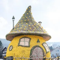 La Fête des Jonquilles à Gérardmer &copy; Fête des Jonquilles