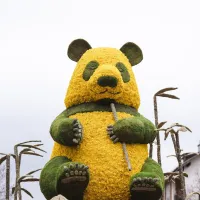La Fête des Jonquilles à Gérardmer &copy; Fête des Jonquilles