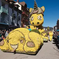 La Fête des Jonquilles de Gérardmer : cap sur l'édition 2028 &copy; Fête des Jonquilles Gérardmer