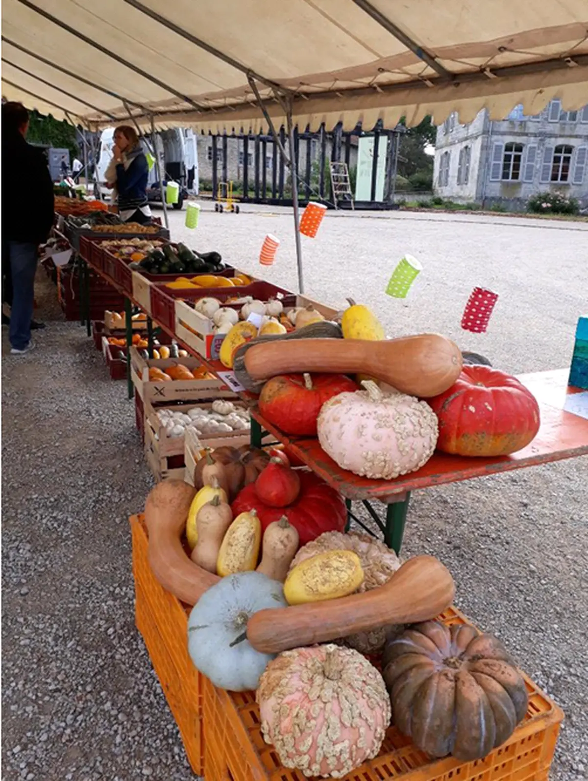 Fête des légumes