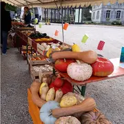 Fête des légumes