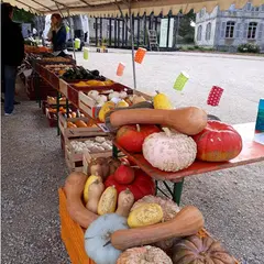 Fête des légumes