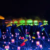 Les magnifiques œuvres de la Fête des Lumières de Lyon. &copy; Laurence Danière