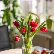 Fête des Mères 2025 : les Français ont dépensé plus pour les fleurs et les plantes mais ils étaient moins nombreux à en acheter