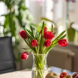 Fête des Mères 2025 : les Français ont dépensé plus pour les fleurs et les plantes mais ils étaient moins nombreux à en acheter