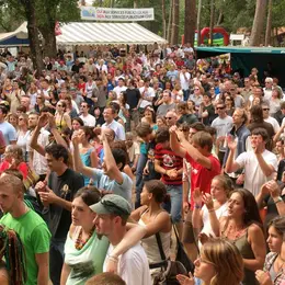Fête des pins