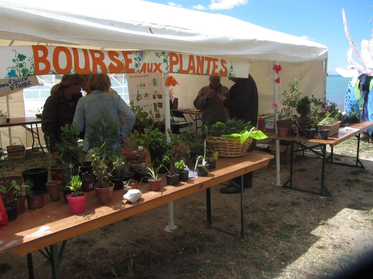 Fête des plantes