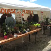 Fête des plantes