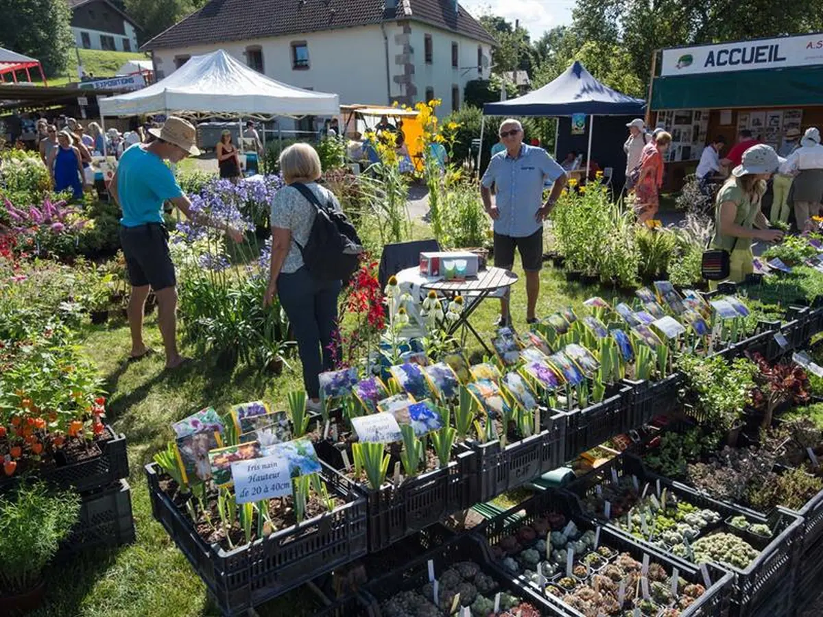 Fête des plantes