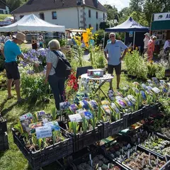 Fête des plantes