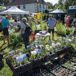 Fête des plantes
