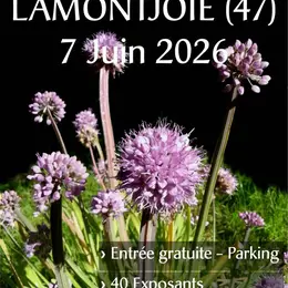 Fête des plantes à Lamontjoie