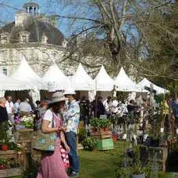 Fête des plantes au château de Cheverny