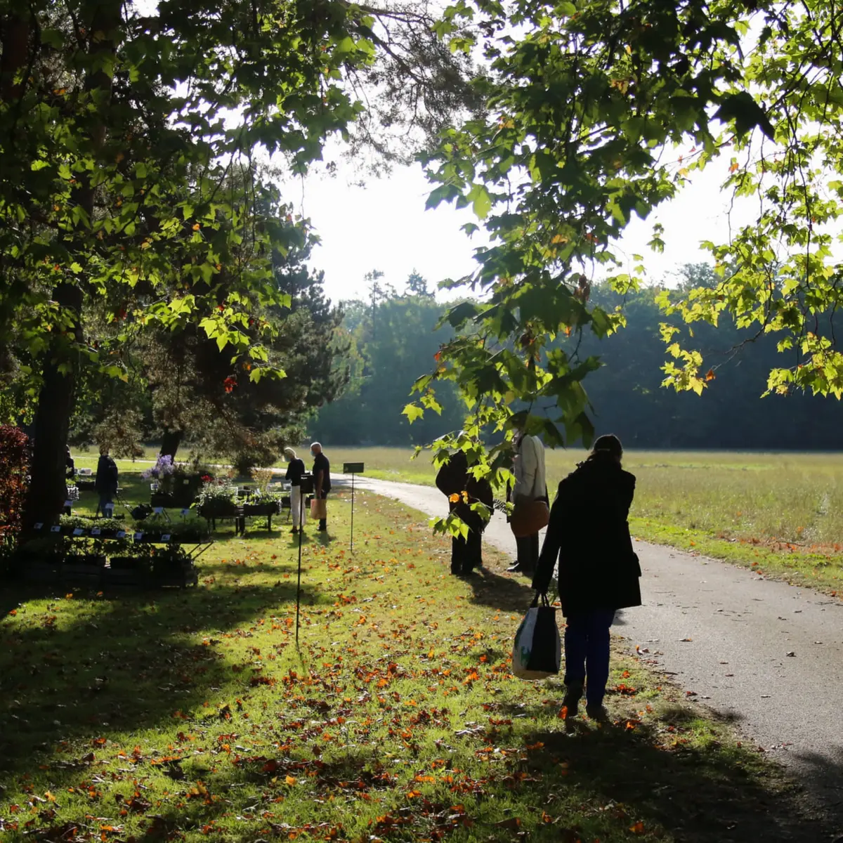 Venez découvrir l'édition d'automne de la Fête des Plantes de Schoppenwihr