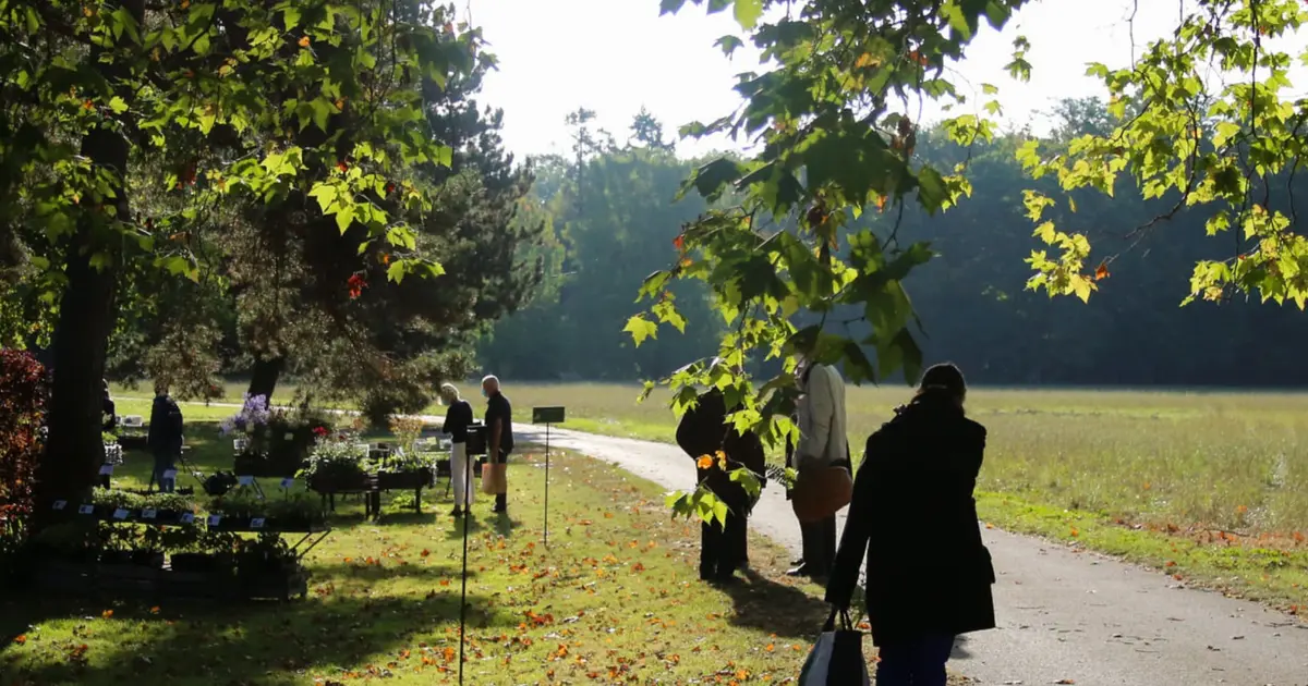 Fte des Plantes de Schoppenwihr 2026 - Edition d'automne : dates,  exposants et tarif