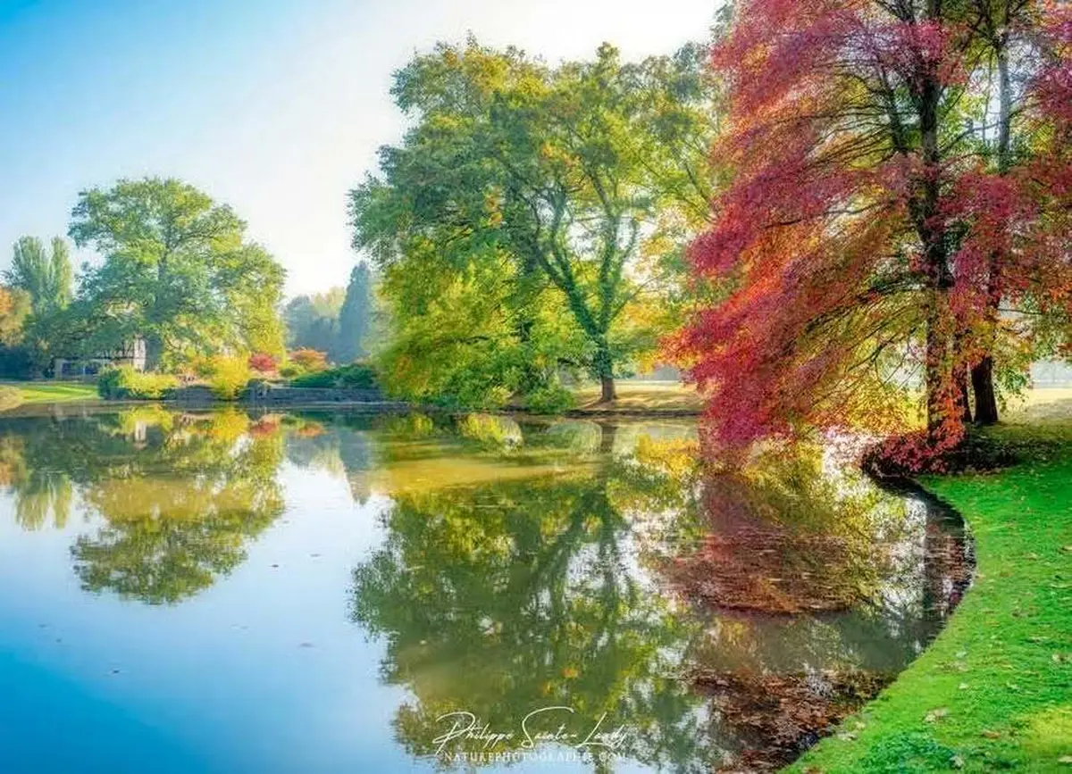 Fête des Plantes de Schoppenwihr 2026 : programme et liste des exposants de l'édition d'automne