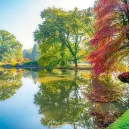 Fête des Plantes de Schoppenwihr 2026 : programme et liste des exposants de l'édition d'automne
