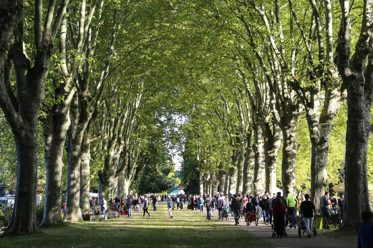 Il y a du monde dans les allées du parc de Schoppenwihr