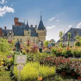 Fête des plantes et du printemps